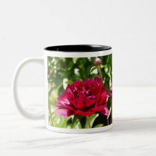 Dark Maroon Velvet-Bauern Zweifarbige Tasse
