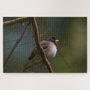 Dark Mit Augen Junco Puzzle