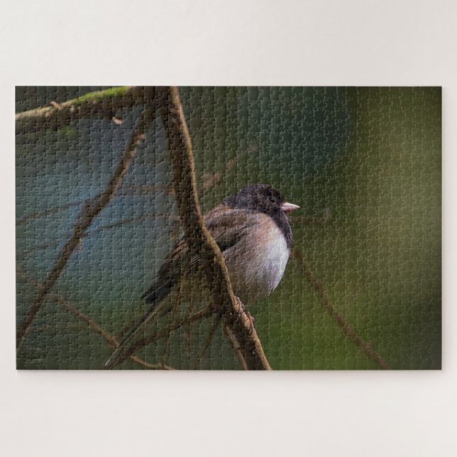 Dark Mit Augen Junco Puzzle (Horizontal)