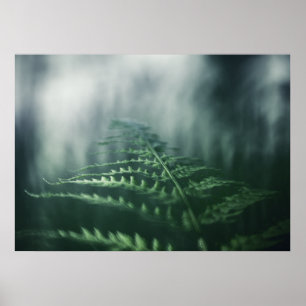 Dark Moody Fern Nature Foto Poster