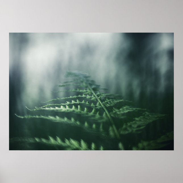 Dark Moody Fern Nature Foto Poster (Vorne)