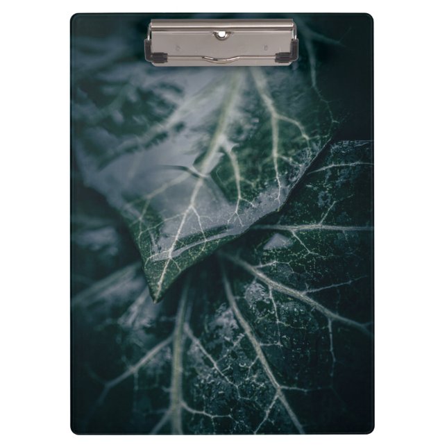 Dark Moody Ivy Floral Nature Fotograf Klemmbrett (Vorderseite)