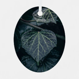 Dark Moody Ivy Nature Foto Ornament Aus Metall