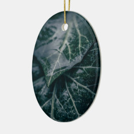Dark Moody Ivy Verlasse Nature Foto Keramik Ornament