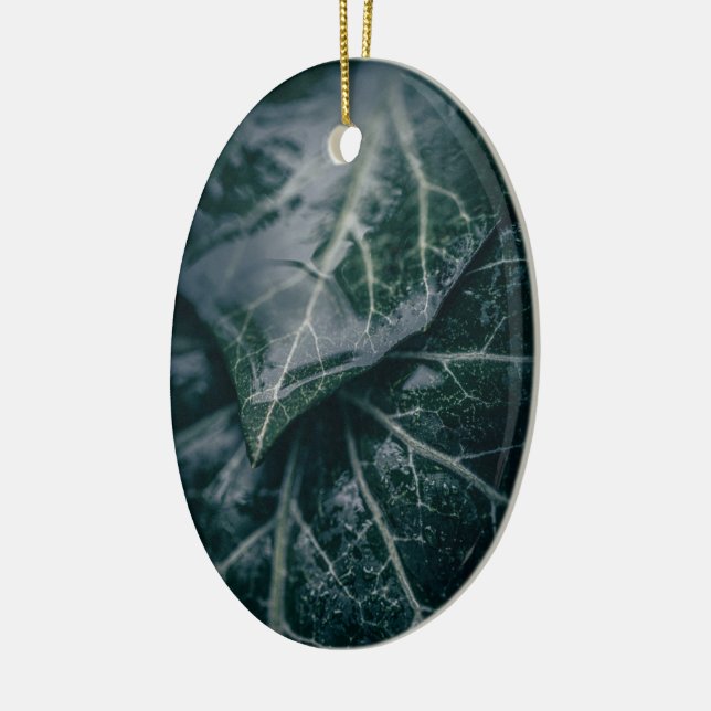 Dark Moody Ivy Verlasse Nature Foto Keramik Ornament (Links)