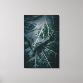 Dark Moody Ivy Verlasse Nature Foto Leinwanddruck