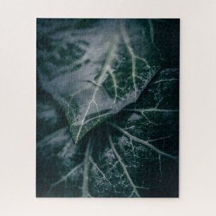 Dark Moody Ivy Verlasse Nature Foto Puzzle