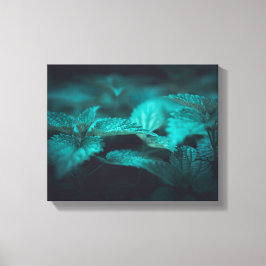 Dark Moody Stinging Nettle Nature Foto Leinwanddruck