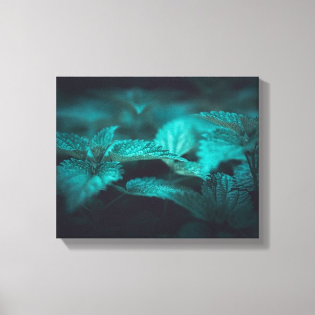 Dark Moody Stinging Nettle Nature Foto Leinwanddruck (Vorderseite)