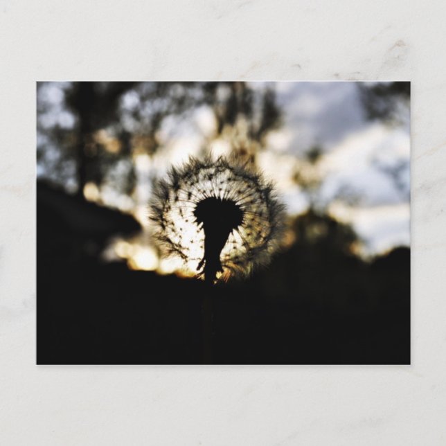 Dark N Dandy Postkarte (Vorderseite)