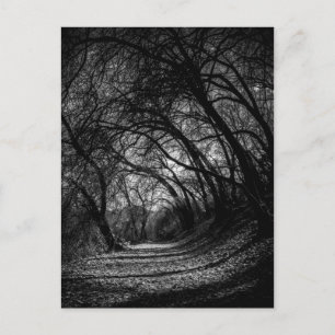 Dark Pathway Postkarte