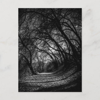 Dark Pathway Postkarte