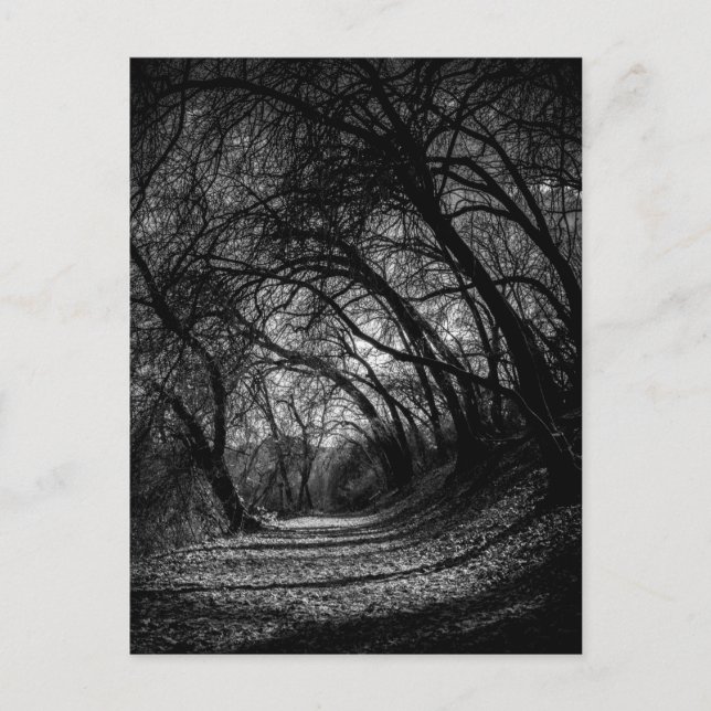 Dark Pathway Postkarte (Vorderseite)