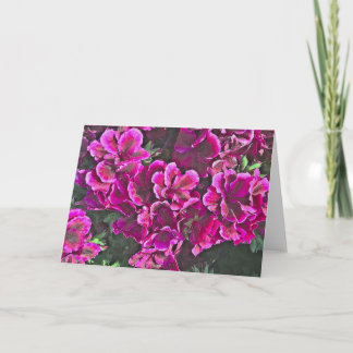 Dark Pink Geraniums Karte