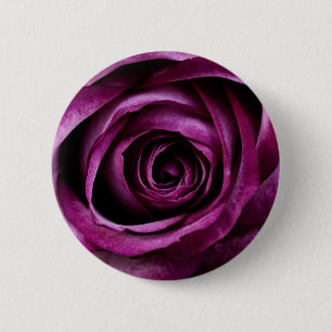 Dark Purple Rose Button