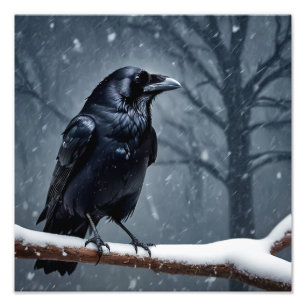 Dark Raven Black Bird Fotodruck