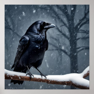 Dark Raven Black Bird Poster