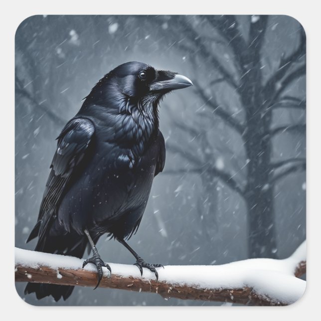 Dark Raven Black Bird Quadratischer Aufkleber (Vorderseite)