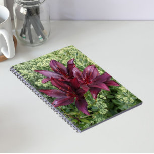 Dark Red Asiatic Lilies Floral Notizblock
