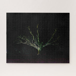 Dark Side 1 16x20 520pc jpcn Jigsaw Puzzle