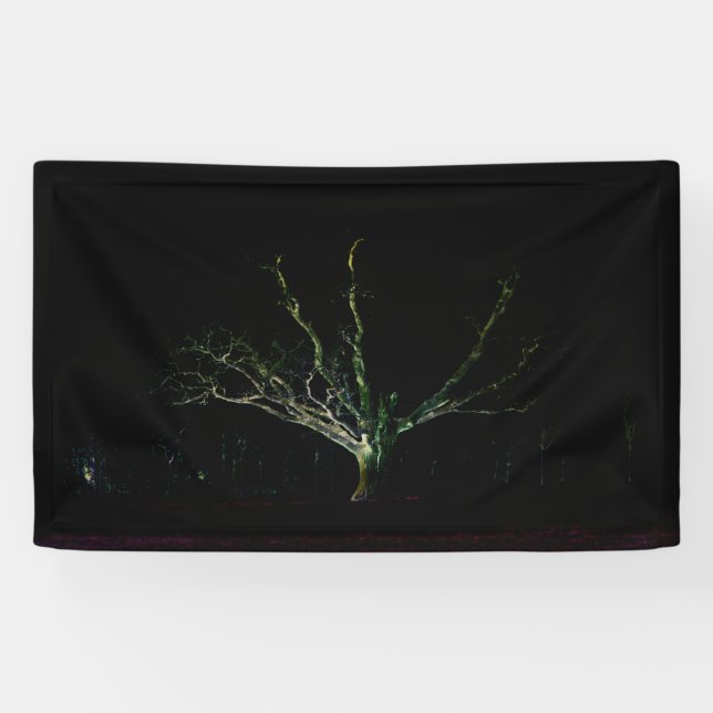 Dark Side 1 bnrcnm Banner (Horizontal)