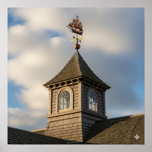 Dark Wood Cupola Poster (Vorne)