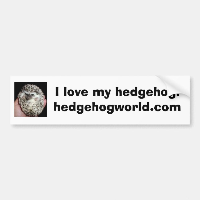 darkhedgie Autoaufkleber (Vorne)