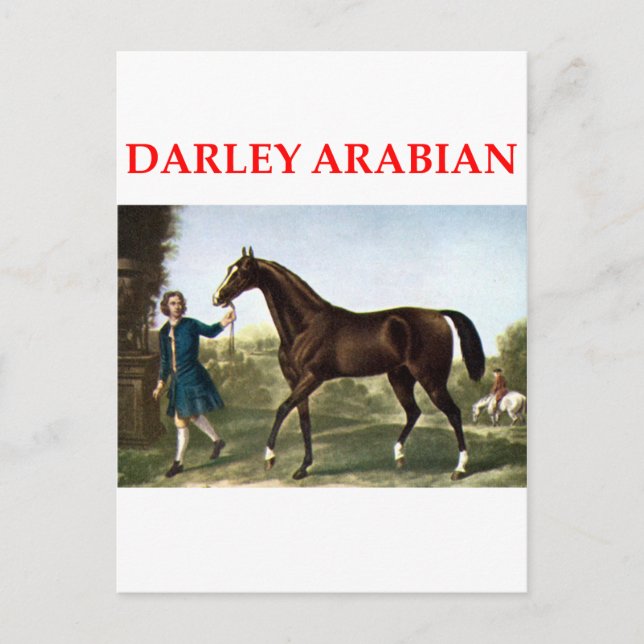 Darley arabian postkarte (Vorderseite)