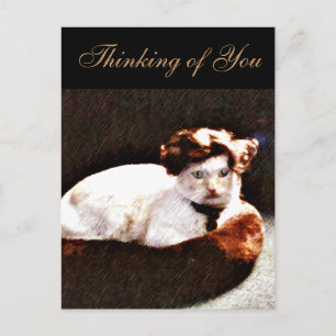 Darling, Cat_ Postkarte