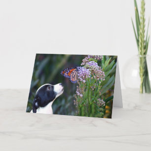 Darling danke Ihnen für die Begleitersitzung