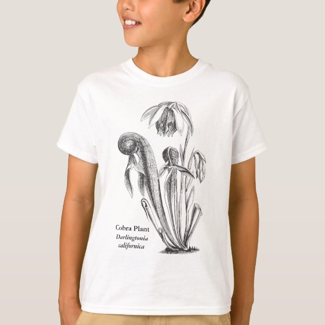 Darlingtonia californica, karnivorische Pflanze T-Shirt (Vorderseite)
