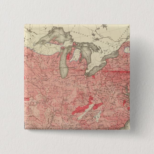 Darmkrankheiten in den USA Button (Vorderseite)