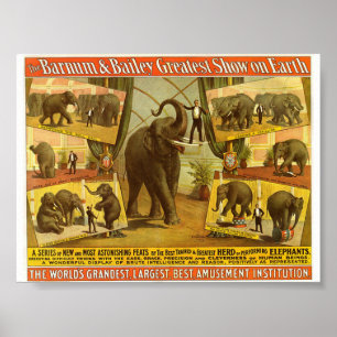 Darstellende Elefanten Barnum u. Poster