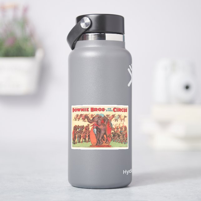 Darstellende Elefanten mit Frauen und Trainer. Aufkleber (HydroFlask)