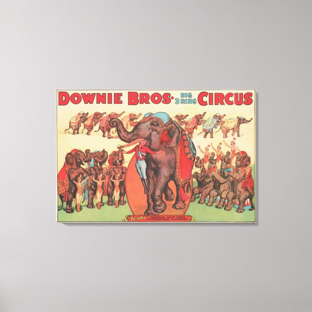 Darstellende Elefanten mit Frauen und Trainer. Leinwanddruck (Vorderseite)