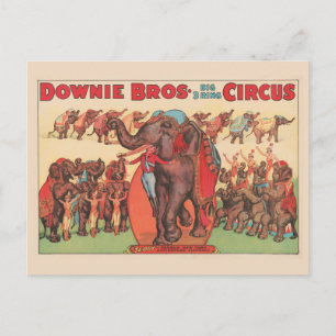 Darstellende Elefanten mit Frauen und Trainer. Postkarte