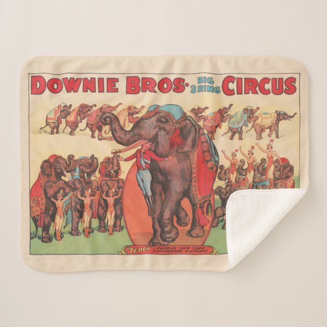 Darstellende Elefanten mit Frauen und Trainer. Sherpadecke (Vorderseite (Horizontal))