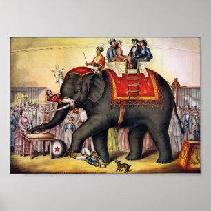 Darstellender Elefant Poster