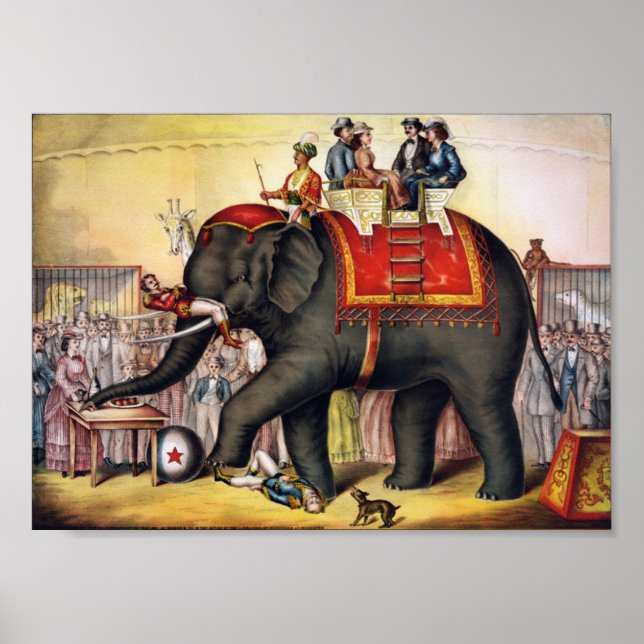 Darstellender Elefant Poster (Vorne)