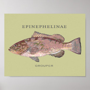 Darstellung der Grouper Fish Poster