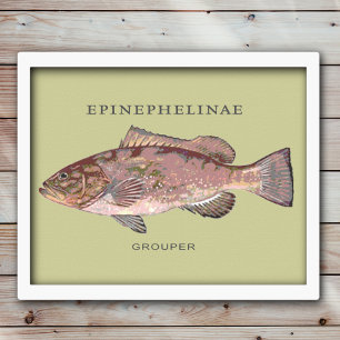 Darstellung der Grouper Fish Poster