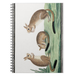 Darstellung der niedlichen Kaninchen | Notizblock