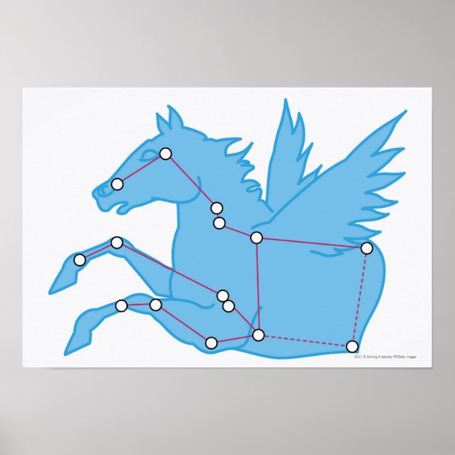 Darstellung der Pegasus-Konstellation Poster (Vorne)