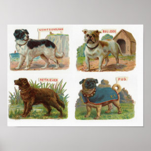 Darstellung der Vintagen Hunde Poster