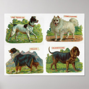 Darstellung der Vintagen Hunde Poster