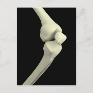 Darstellung des Knie-Knochens Postkarte