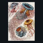Darstellung des Meereslebens - Ernst Haeckel Poste Poster<br><div class="desc">Discomedusae-Scheibenquallen von Kunstformen der Natur (1904) von Ernst Haeckel (1843-1919),  Naturforscher,  Professor und Meeresbiologe. Original aus der Kongressbibliothek. Die geometrischen Formen und die natürlichen Formen,  mit außergewöhnlicher Präzision erfasst.</div>