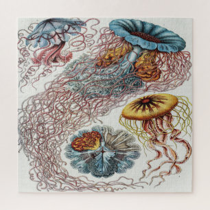 Darstellung des Meereslebens - Ernst Haeckel Puzzle