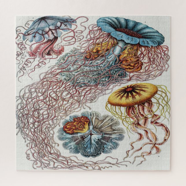 Darstellung des Meereslebens - Ernst Haeckel Puzzle (Vertikal)