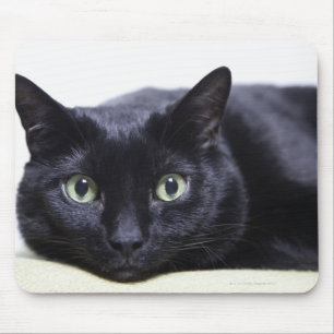 Darstellung einer Katze Mousepad